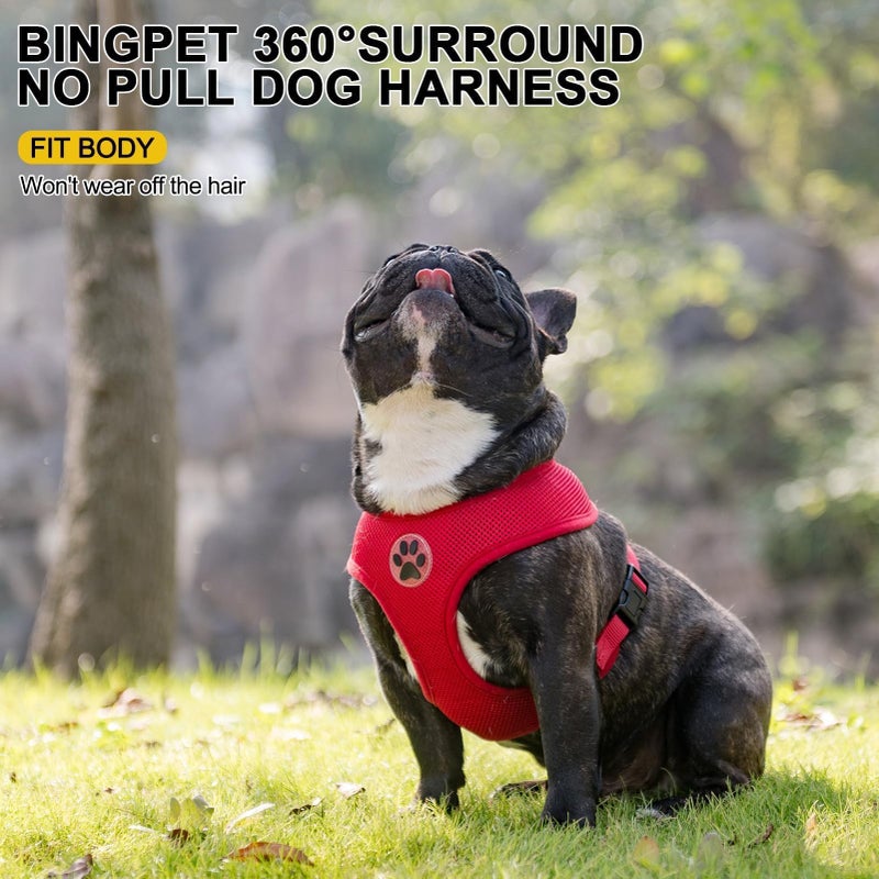 BINGPET BB5001 Soft Mesh Dog Harness Pet Walking Vest Puppy Padded Harnesses Adjustable, Red Small - Image 2